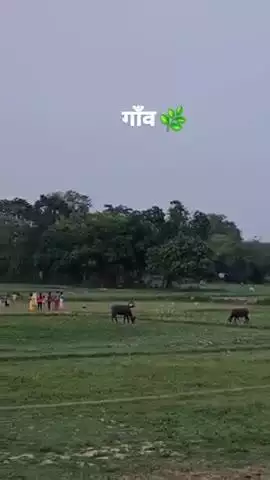 #jharkhand #Ranchi #godda @