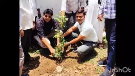 पारशिवनी: नगर पंचायत तर्फे प्रर्यावरण दिना निमिताने वृक्ष रोपण करण्यात आले
