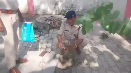 लालगंज: लालगंज में विश्व पर्यावरण दिवस पर SDPO और विधायक प्रत्याशी ने किया वृक्षारोपण