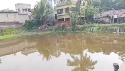বারুইপুর: খবরের জেরে সংস্কার হলো বারইপুর শাহজাহান রোডের হাজী সাহেবের পুকুর#jansamasya