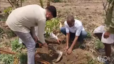 सिंगोली: सिंगोली में अधिकारियों व कर्मचारियों ने मनाया विश्व पर्यावरण दिवस, विभिन्न स्थानों पर लगाए पौधे