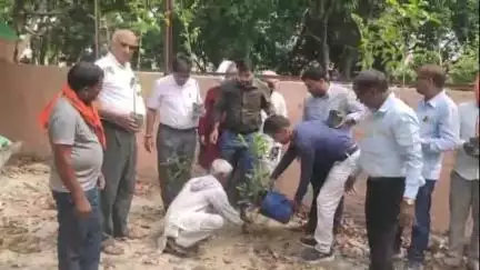 हथुआ: हथुआ अनुमंडल परिसर में विश्व पर्यावरण दिवस पर पौधे लगाए गए, हथुआ SDPO भी शामिल हुए