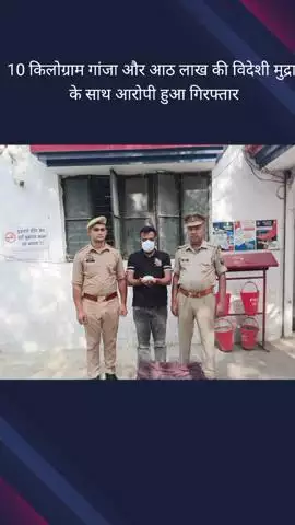 दादरी: फेस 2 थाना क्षेत्र से पुलिस ने एक आरोपी को ₹8 लाख की विदेशी मुद्रा और 10 किलो गांजे के साथ किया गिरफ्तार
