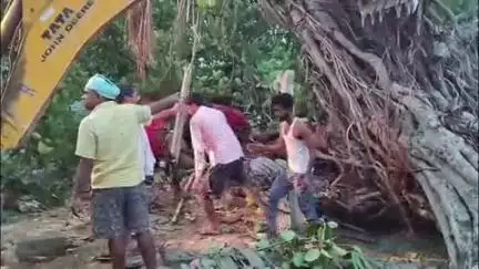 गोरौल: पिरोई गांव में आंधी-बारिश से बरगद का पेड़ झोपड़ी पर गिरा, एक व्यक्ति की मौत