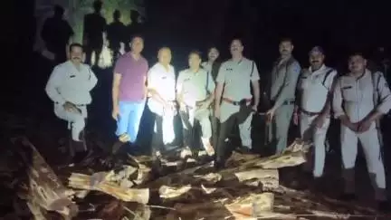दतिया नगर: चक रामसागर जंगल में खैर लकड़ी तस्करों को पकड़ने पहुंची पुलिस, फायरिंग की, तस्कर लकड़ी छोड़ भागे