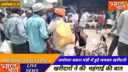 बकरीद के त्यौहार को देखते हुए हो रही है जानवरों की जमकर खरीदारी 7 जून को मनाई जाएगी बकरीद