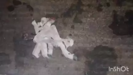 बीकानेर: जयनारायण व्यास कॉलोनी इलाके में मिले नवजात गोवंश के केवल पैर, गोरक्षकों ने पशु चिकित्सालय के आगे किया धरना