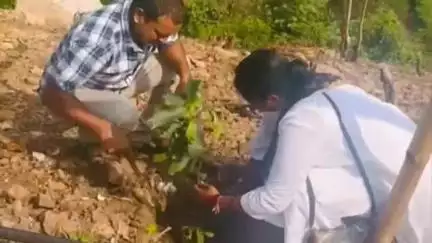 ରାୟଗଡା: ରାୟଗଡ଼ା ବିଜେପି ତରଫରୁ ବାରିଝୋଳା ପାହାଡ ଉପରେ ଥିବା ହନୁମାନ ମନ୍ଦିର ରାସ୍ତା  କଡ଼ରେ ମାଁ ପାଇଁ ଗଛ ଟି ଏ କାର୍ଯ୍ୟକ୍ରମ ଅନୁଷ୍ଠିତ