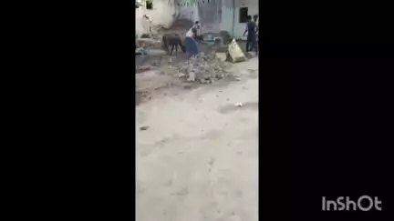 चायल: साना गांव में दबंगों ने गिरा दी कच्ची दीवार, विरोध करने पर की मारपीट और जान से मारने की दी धमकी
