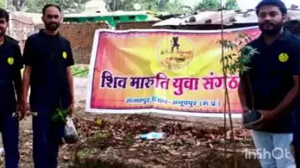 अनूपपुर: सामतपुर के त्रिमूर्ति मढ़िया धाम में शिव मारुति युवा संगठन ने 'विश्व पर्यावरण दिवस' पर लगाए 51 पौधे
