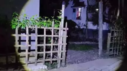 কোচবিহার ১: চিতা বাঘের দেখা মেলায় আতঙ্ক ছড়ালো ঘুঘুমারি চন্ডীশাল এলাকায়, ঘটনাস্থলে বনদপ্তরের কর্মীরা