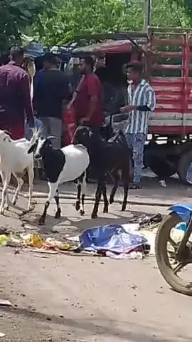 इमली वन
में आए दिन में कचरा गाड़ी चार दिनों में एक बार आ रही है और नल भी चार-पांच दिन में एक बार आ रहे हैं उसको ल