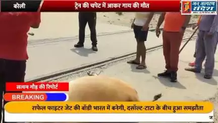 ट्रेन की चपेट में आकर गाय की मौत ✍️