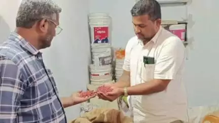 మంత్రాలయం: మాలపల్లి గ్రామంలో అక్రమంగా నిలువ ఉంచిన అనుమతి లేని పత్తి విత్తనాలను స్వాధీనం చేసుకున్న జిల్లా విజిలెన్స్ అధికారులు