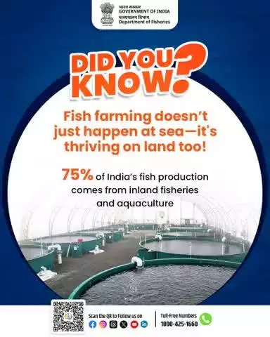 Did You Know?
Fish farming isn't limited to the seas,
75% of India's fish production comes from inland fisheries and aquaculture a thriving sector