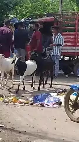 हमने कौन क्षेत्र में कचरे को देख हुआ विवाद आम इंसान चीन से नहीं रह पा रही है