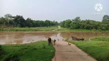 নলহাটি ২: নলহাটি 2: ব্রাহ্মণী নদীতে জল বৃদ্ধি পাওয়ায় ভদ্রপুর সহ নদী তীরবর্তী এলাকার মানুষের পারাপারে সমস্যা #jansamasya