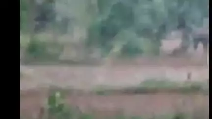 ରେଢାଖୋଲ: ବଡସାହୀର ଗାଁ ରେ  ହାତୀ ଉପଦ୍ରବ କରିଥିବା ସହ କ୍ଷୟକ୍ଷତି କରିଥିବା ନେଇ ସୁଚନା