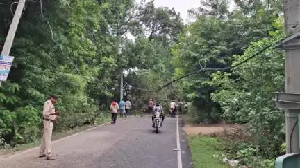 रघुनाथपुर: रघुनाथपुर आंदर मुख्य सड़क पर सुल्तानपुर गांव के पास पेड़ गिरने से यातायात बाधित