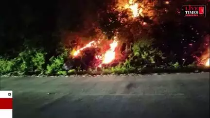 कसौली के खील मोड़ के पास लगी भीषण आग