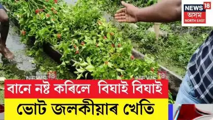 নিশাৰ ভিতৰতে পানী সোমাই টীয়কত নষ্ট কৰিলে বিঘাই বিঘাই ভোট জলকীয়াৰ খেতি