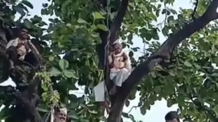 जिल्हा कचेरीसमोर वारकऱ्यांनी झाडावर चढून सुरु केले आंदोलन, संत एकनाथ महाराज मठाच्या कारभाराची चौकशी व कारवाईची मागणी