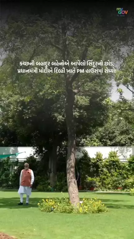 કચ્છની બહાદુર મહિલાઓએ આપેલો સિંદૂરનો છોડ, પ્રધાનમંત્રી મોદીએ દિલ્હી ખાતે PM હાઉસમાં રોપ્યો!