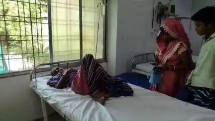 चरखारी: खरेला कस्बे में घरेलू कार्य करते समय बुजुर्ग महिला को जहरीले सर्प ने डसा, हालत बिगड़ने पर अस्पताल में भर्ती