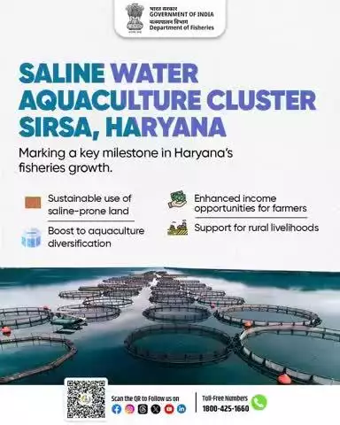 The Saline Water Aquaculture Cluster in Sirsa, Haryana, Marks a key milestone in the state's fisheries growth. This initiative promotes sustainable use of saline land, diversifies aquaculture, boosts farmers' incomes, & strengthens rural