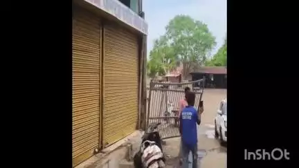 कुरवाई: मंडी बामोरा: लापरवाह डीजे चालक ने गल्ला मंडी का गेट तोड़ा, स्कूटी व ठेला भी क्षतिग्रस्त