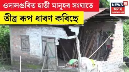 Udalguri Elephant Terror | প্ৰতিদিনে বনৰীয়া হাতীৰ জাকে নিদ্ৰা হৰণ কৰিছে সীমান্তবাসীৰ N18V