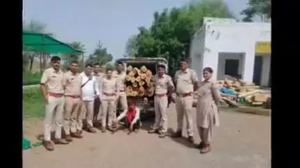 मनोहरथाना: खेरखेडी माता के समीप दो दर्जन सामवान की सिल्लियों से भरा वाहन किया गया ज़ब्त, चालक गिरफ्तार