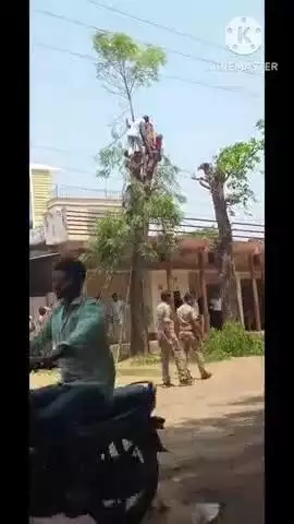 नगरी: ग्राम सांकरा के कोरमुड़ पारा में पेड़ की डाल काटते समय विद्युत करंट से एक व्यक्ति की हुई मौत, शव पेड़ में लटका हुआ था