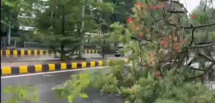 पटना ग्रामीण: पटना: आंधी-तूफान से जदयू कार्यालय के सामने सड़क पर गिरा विशाल पेड़, वाहन चालकों को हो रही परेशानी