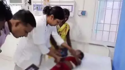 सिवान: डुमरी गांव में 3 वर्षीय बच्चे को जहरीले सांप ने डसा, बच्चे की हुई मौत