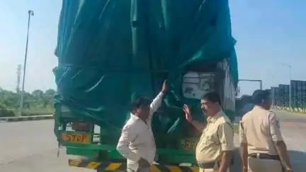 ఆందోల్: అక్రమంగా గోవులను తరలిస్తున్న రెండు డీసీఎంలను పట్టుకున్న పోలీసులు