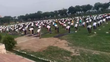 नूह: पुलिस लाइन में हुआ योगाभ्यास का आयोजन, 700 पुलिस अधिकारी व कर्मचारियों ने लिया भाग