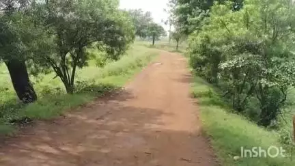 রায়না ১: রায়নার জামুই ঢাল থেকে জামুই গ্রাম পর্যন্ত রাস্তার বেহাল দশা, আজ থেকে শুরু হল সার্ভে প্রক্রিয়া #jansamasya