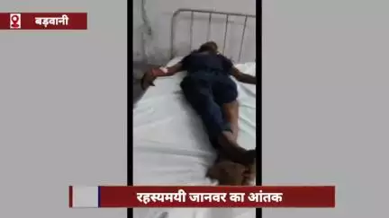 बड़वानी जिले के लिंबई गांव में रहस्यमयी जानवर का आतंक, 17 लोगों को काटा