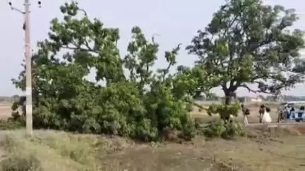 मांझी: मांझी के गांवों में आंधी-पानी से तबाही, मांझी बनवार पथ पर पेड़ गिरा, आवागमन बाधित और बिजली गुल