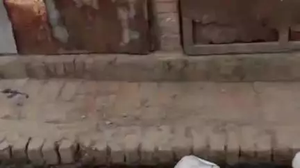 जमुनहा: नासिरगंज में बदहाल सड़क व जल निकासी की उचित व्यवस्था न होने से लोग परेशान, समस्या से निजात दिलाने की मांग #jansamasya