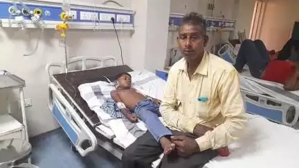 बरही: करौंदी कला में 6 साल के बच्चे सहित दो लोग आग में झुलसे, बरही अस्पताल में इलाज जारी