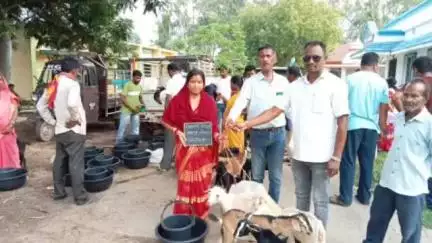 आदित्यपुर गम्हरिया: सरायकेला प्रखंड कार्यालय में 15 लाभुकों के बीच बकरे-बकरियों का वितरण, प्रखंड उप प्रमुख रहे मौजूद