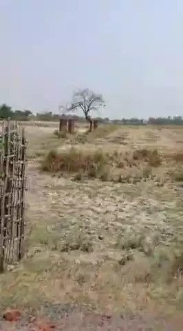 भभुआ कुदरा मार्ग पर पानी की तलाश मे हिरण देखा गया