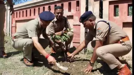 टिहरी: पुलिस लाइन चंबा में SSP आयुष अग्रवाल ने फलदार और छायादार पौधों का रोपण किया, कार्मिकों को अधिक पौधे लगाने के दिए निर्देश