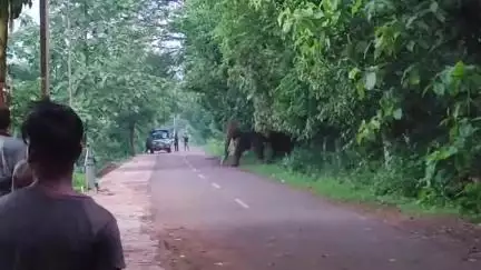 ଢେଙ୍କାନାଳ ସଦର: ବେଲଟିକିରି ଗ୍ରାମ ପଞ୍ଚାୟତ ଅଞ୍ଚଳରେ ହାତୀ ସମସ୍ୟା, ଜିଲ୍ଲାପାଳଙ୍କୁ ଭେଟିଲେ ସରପଞ୍ଚ