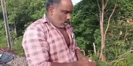 കൊല്ലം: ചാത്തിനാംകുളം കണ്ടച്ചിറ റെയിൽവേ മേൽപ്പാലത്തിന് സമീപം ഒരാളെ ട്രെയിൻ തട്ടി മരിച്ച നിലയിൽ കണ്ടെത്തി