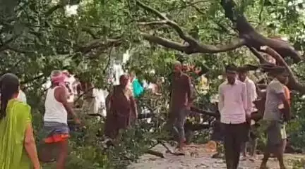 लालगंज: खोजौली बाजार के पास तेज आंधी और बारिश के कारण विशालकाय पेड़ मार्ग पर धराशाई, घंटों आवागमन बाधित, लोग हुए परेशान