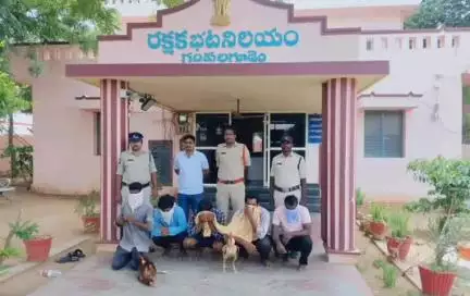 కొనిజర్లల్లో కోడి పందాల సుబ్రంపై పోలీసుల మెరుపు దాడి, ఐదుగురు నిందితుల అరెస్ట్, భారీగా సొత్తు స్వాధీనం