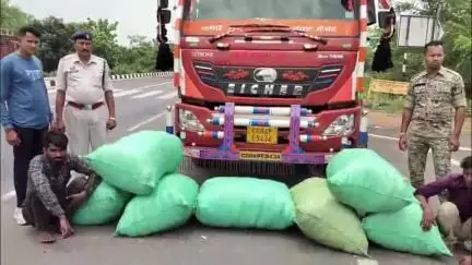 महासमुंद: सिंघोड़ा पुलिस ने 36 लाख रुपए के गांजे के साथ दो आरोपियों को किया गिरफ्तार, नारकोटिक एक्ट के तहत हुई कार्रवाई